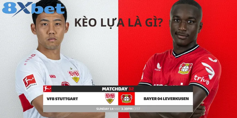 Kèo Lựa Là Gì? Tìm Hiểu Về Khái Niệm Và Lợi Ích